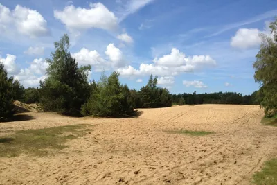 Camping de Rimboe - Eingang des Campingplatz