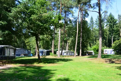 Camping de Rimboe -  Campingbereich für Zelte und Wohnwagen im Schatten der Bäume