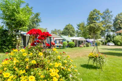 Camping De Spaendershorst - Blick auf die Standplätze auf der Wiese