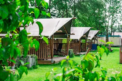 Camping De Tolbrug - Bild 2
