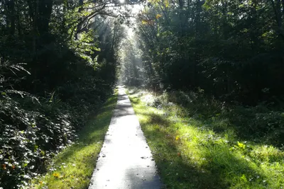Recreatiepark De Voorst - Bild 3