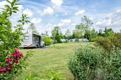 Camping de Waterjuffer - Standplätze auf der Wiese auf dem Campingplatz