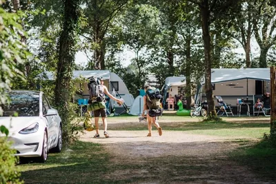 Camping De Watermolen - Bild 3