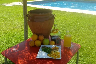 Camping Dehesa Nueva