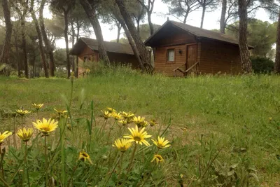 Camping Dehesa Nueva