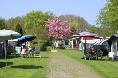 Camping Delftse Hout - Bild 3
