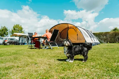 Camping Den Molinshoeve - Bild 2