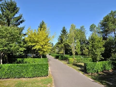 Camping des Abesses