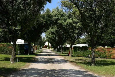 Camping Des Favards - Bild 4