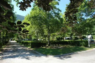 Camping Des Gaves - Stellplätze für Wohnwagen im Schatten der Bäume auf dem Campingplatz