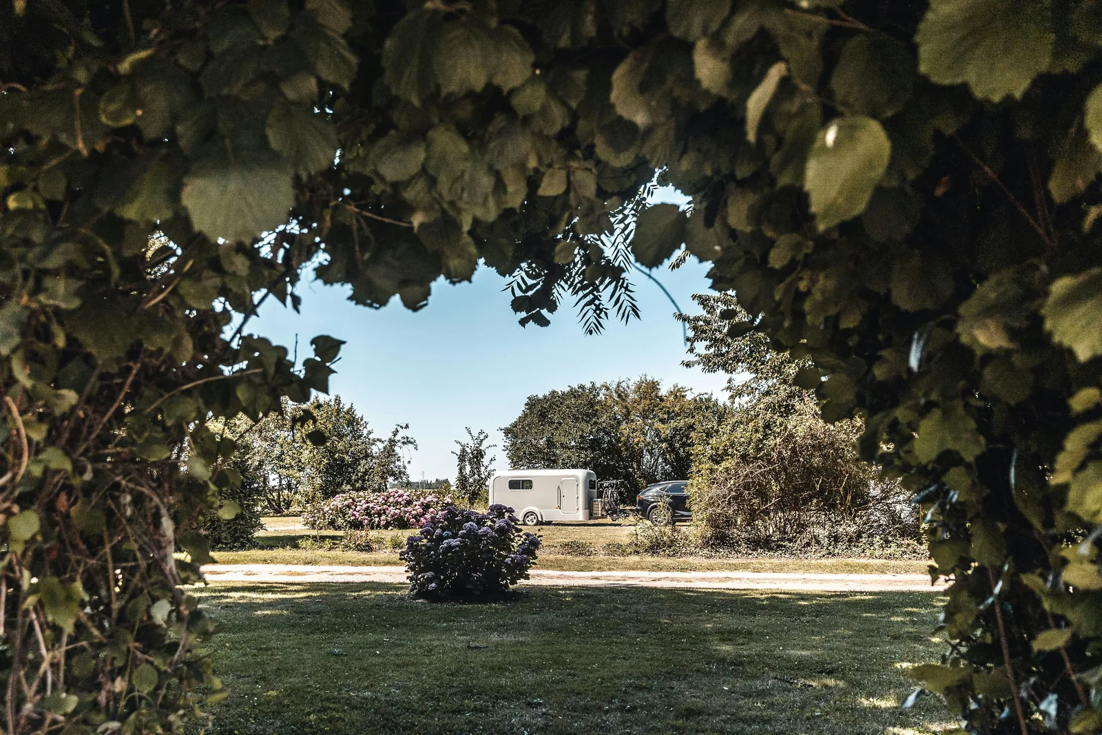 Camping des Hortensias