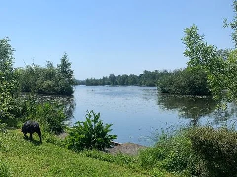 Camping Des Rosiers