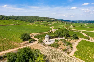Camping De Santenay - Bild 3