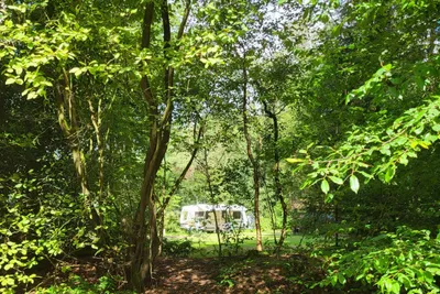 Camping Diever - Standplätze im Grünen auf dem Campingplatz