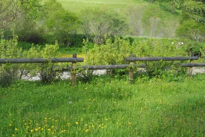 Camping Domaine des Marmottes