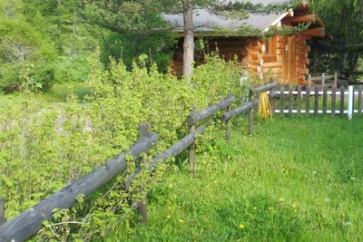 Camping Domaine des Marmottes