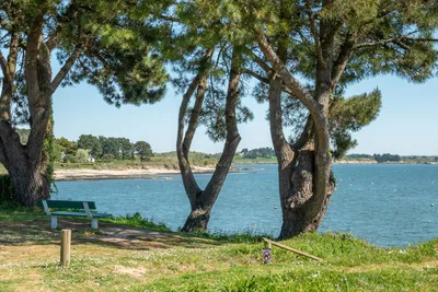 Camping Domaine du Morbihan  Camping Des Peupliers - Strand in der Nähe des Campingplatzes