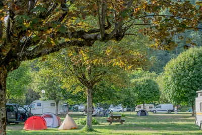 Onlycamp Domelin - Standplätze auf dem Campingplatz
