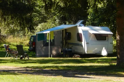 Camping Donnersberg - Wohnwagen- und Zeltstellplatz unter Bäumen auf dem Campingplatz