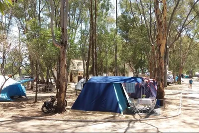 CAMPING DREPANOS - Wohnwagen- und Zeltstellplatz vom Campingplatz unter Bäumen