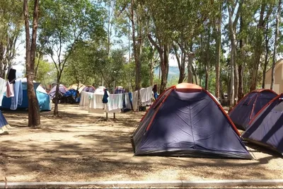 CAMPING DREPANOS - Zeltstellplatz vom Campingplatz im Schatten von Bäumen
