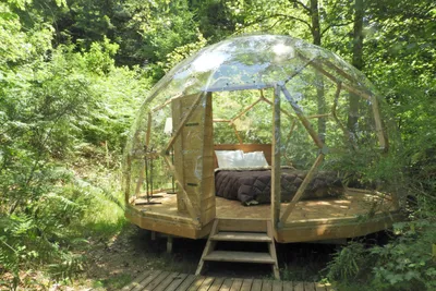 Camping du Mettey - Ferienwohnungen - Zimmer mit transparentem Wänden und Dach umringt von Wald