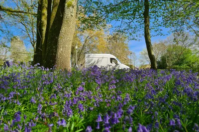 Camping Du Perche - Bild 4