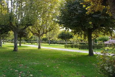 Camping La Clé De Saône - Bild 3