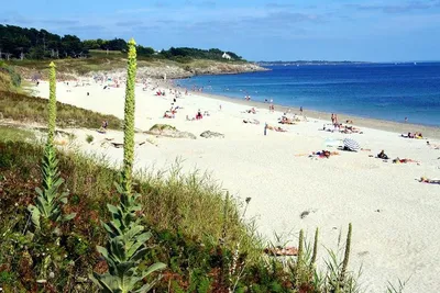 Camping Du Vieux Verger - Bild 4