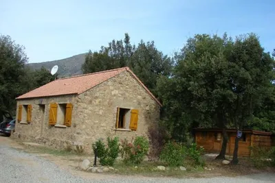 E Canicce - Bild 3