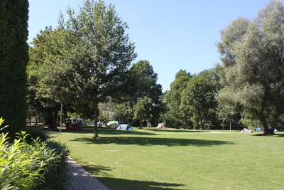 Camping Eichholz - Zeltplätzen von Bäume umgeben auf dem Campingplatz -