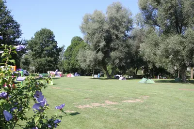 Camping Eichholz - Campingbereich für Zelte von Bäume umgeben