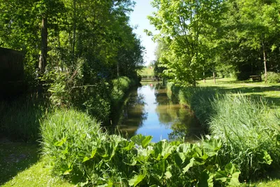 Camping Ekenstein - Grüne Natur auf dem Campingplatz