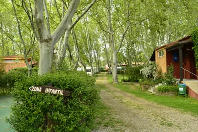 Camping El Pinajarro  - Zugang zum Wohnwagen- und Zeltstellplatz vom Campingplatz unter Bäumen