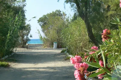 Camping Elizabeth  - Strand in der Nähe des Campingplatzes