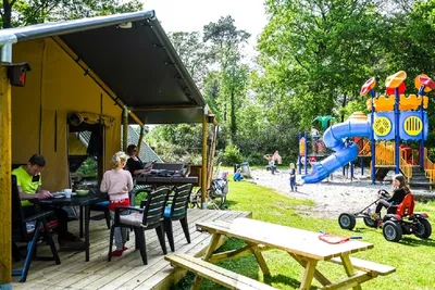 Vakantiepark Bergsehaak - Bild 3