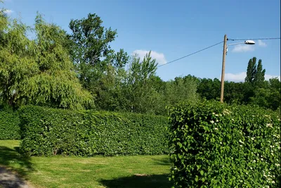 Camping L' Entre-Deux - Standplätze auf dem Campingplatz