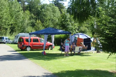 Camping Erbenwald - Stellplätze im Schatten unter Bäumen auf dem Campingplatz