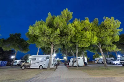 Camping Euro 92 - Standplätze zwischen den Bäumen auf dem Campingplatz