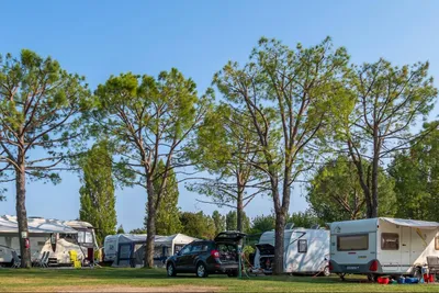 Eurocamping Pacengo  - Stellplätze vom Campingplatz zwischen Bäumen