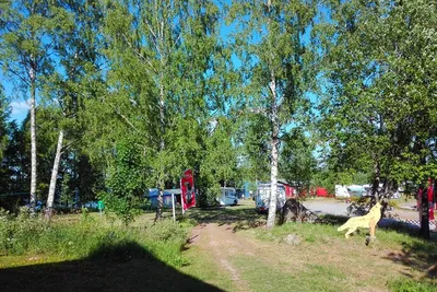 Camping Falkudden - Bild 4
