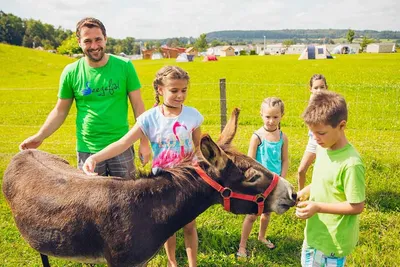 Camping- und Ferienpark Orsingen  - Kinder im Streichelzoo vom Campingplatz