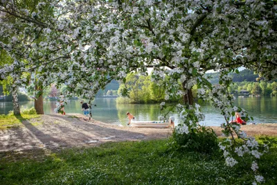 Camping- und Ferienpark Teichmann  -  Camper am Ufer des Teichs vom Campingplatz