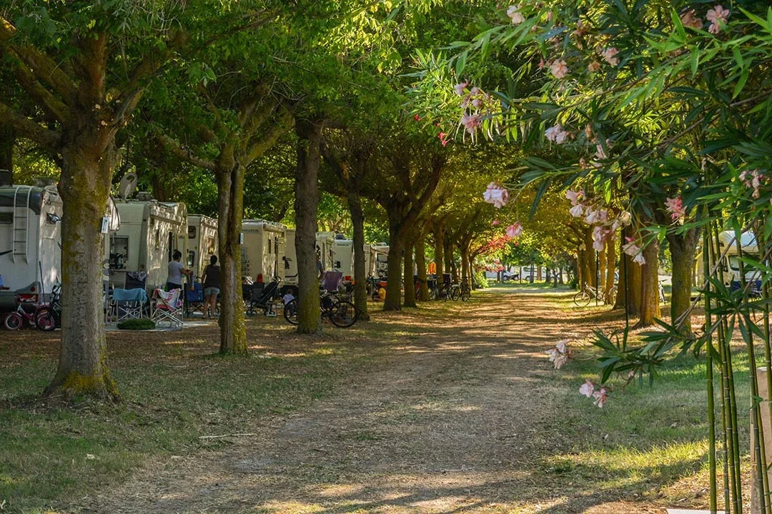 Camping Garden River