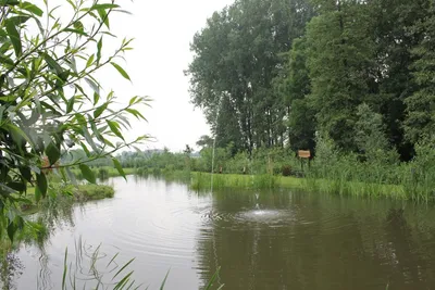 Camping Geelenhoof
