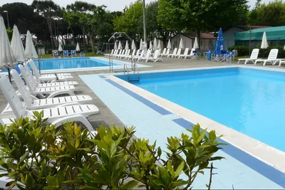Camping Giardino - Poolbereich des Campingplatzes mit Liegestühlen und Sonnenschirmen