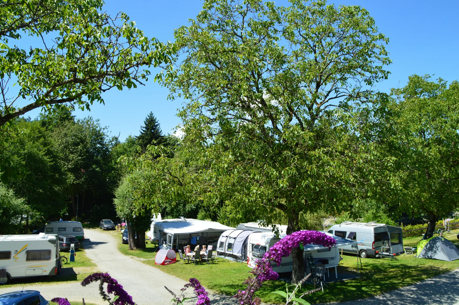 Camping Gitzenweiler Hof