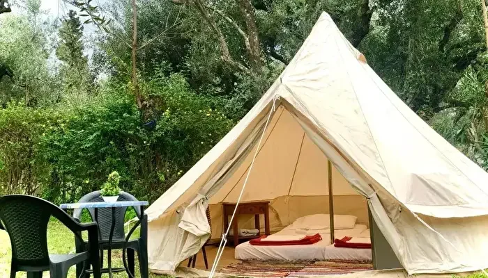 Camping Golden Sunset
