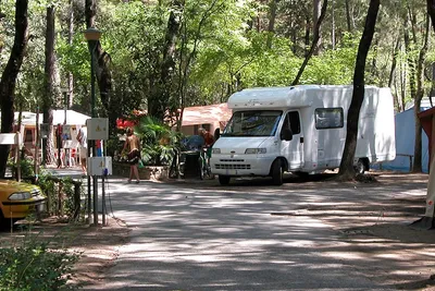 Camping al Bosco - Strasse auf dem Campingplatz mit Wohnmobil auf einem Stellplatz zwischen Bäumen