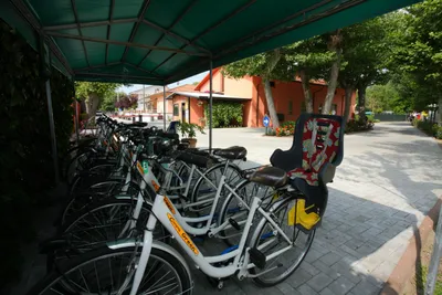 Camping Green - mietbare Fahrräder auf dem Campingplatz